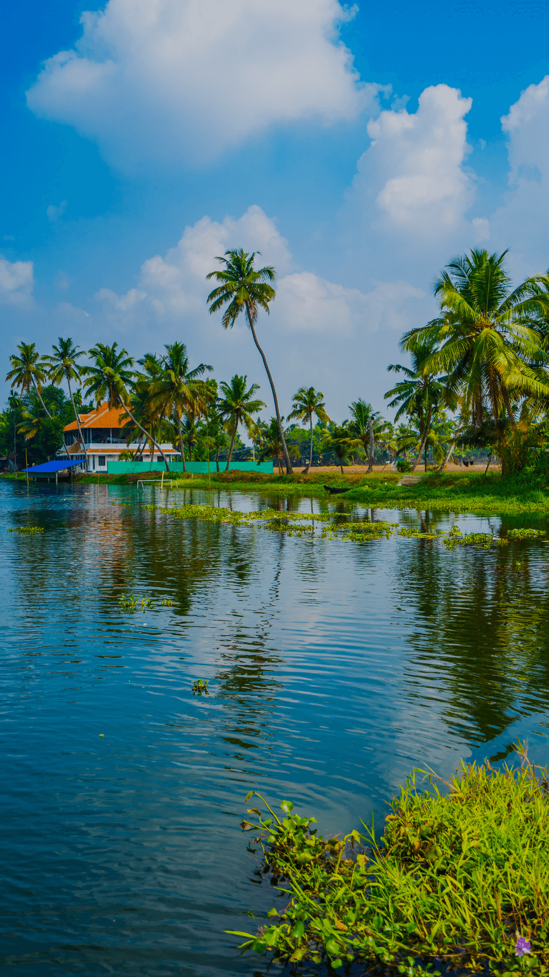 South India